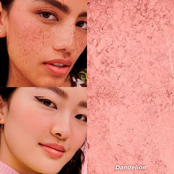BLUSH DANDELION BENEFIT